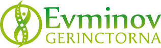 evminov-logo